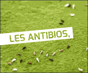 Les antibios, comme il faut, quand il faut